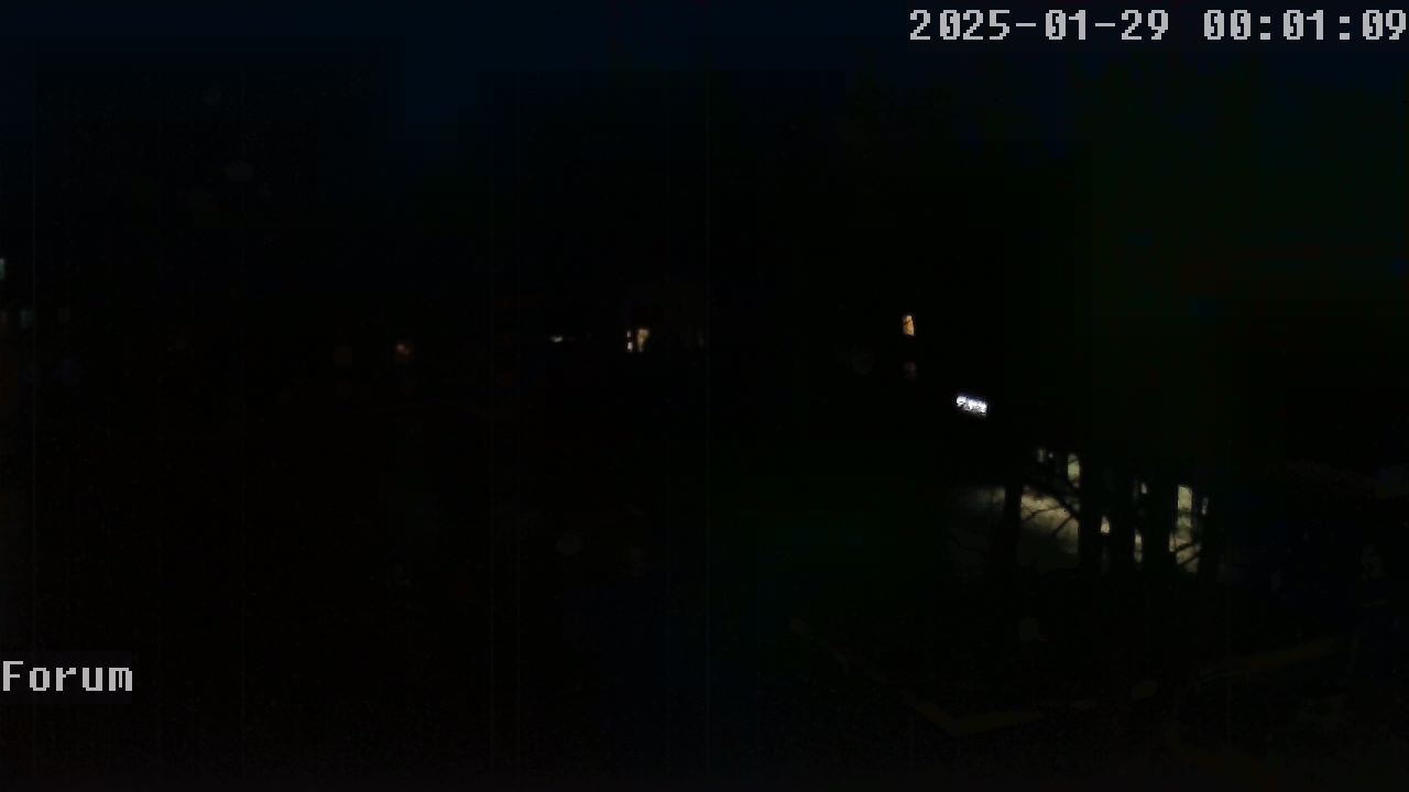 Webcam Forum 00:01